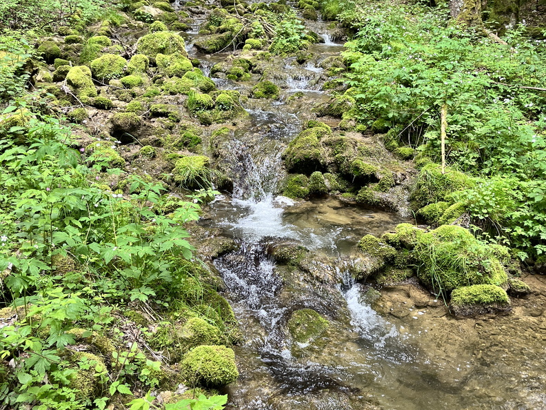 23-05-26 15-53-36 5714